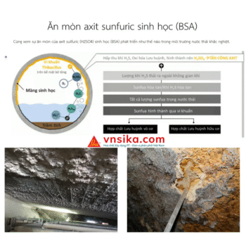 Sika môi trường khắc nghiệt: Giải pháp bảo vệ công trình bền vững